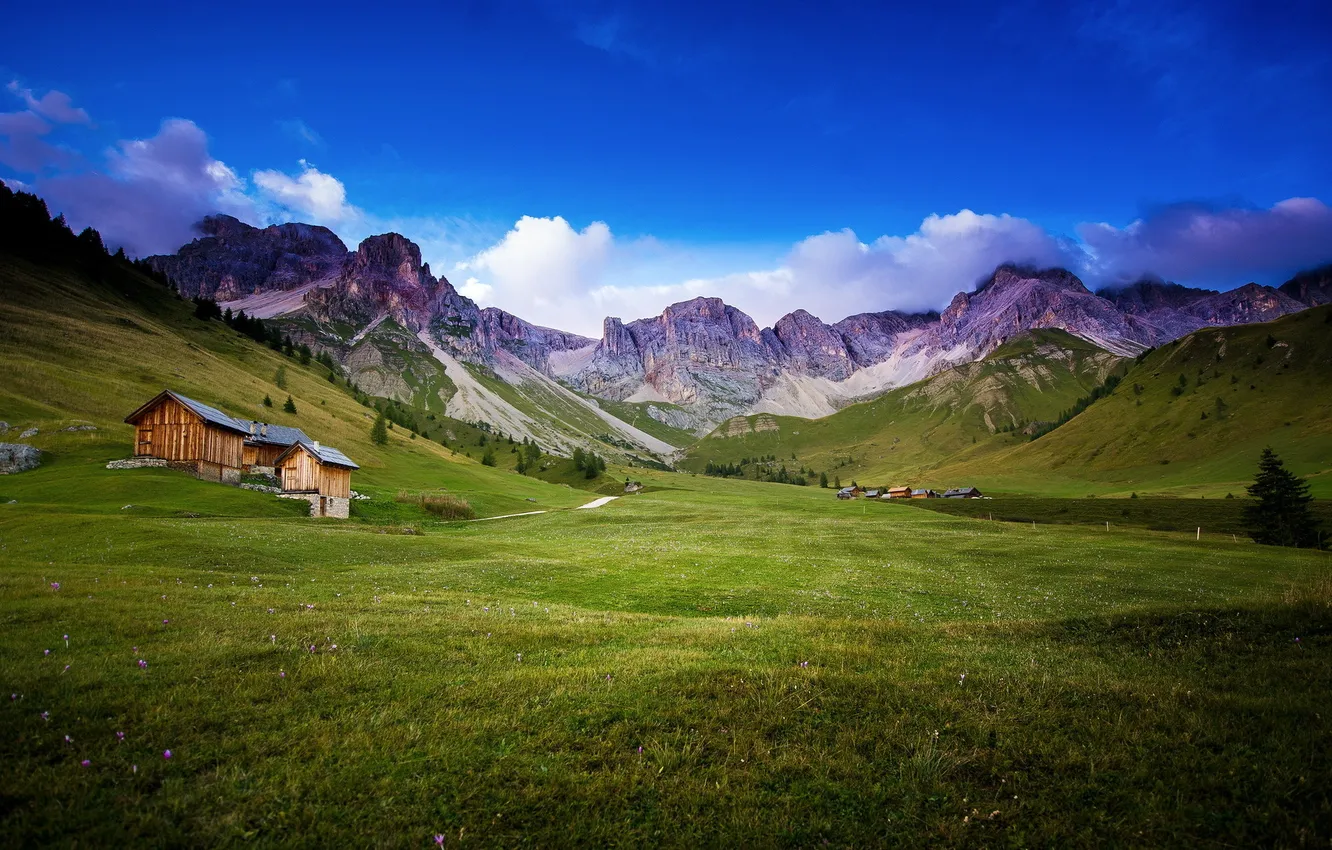 Photo wallpaper field, summer, landscape, mountains, house