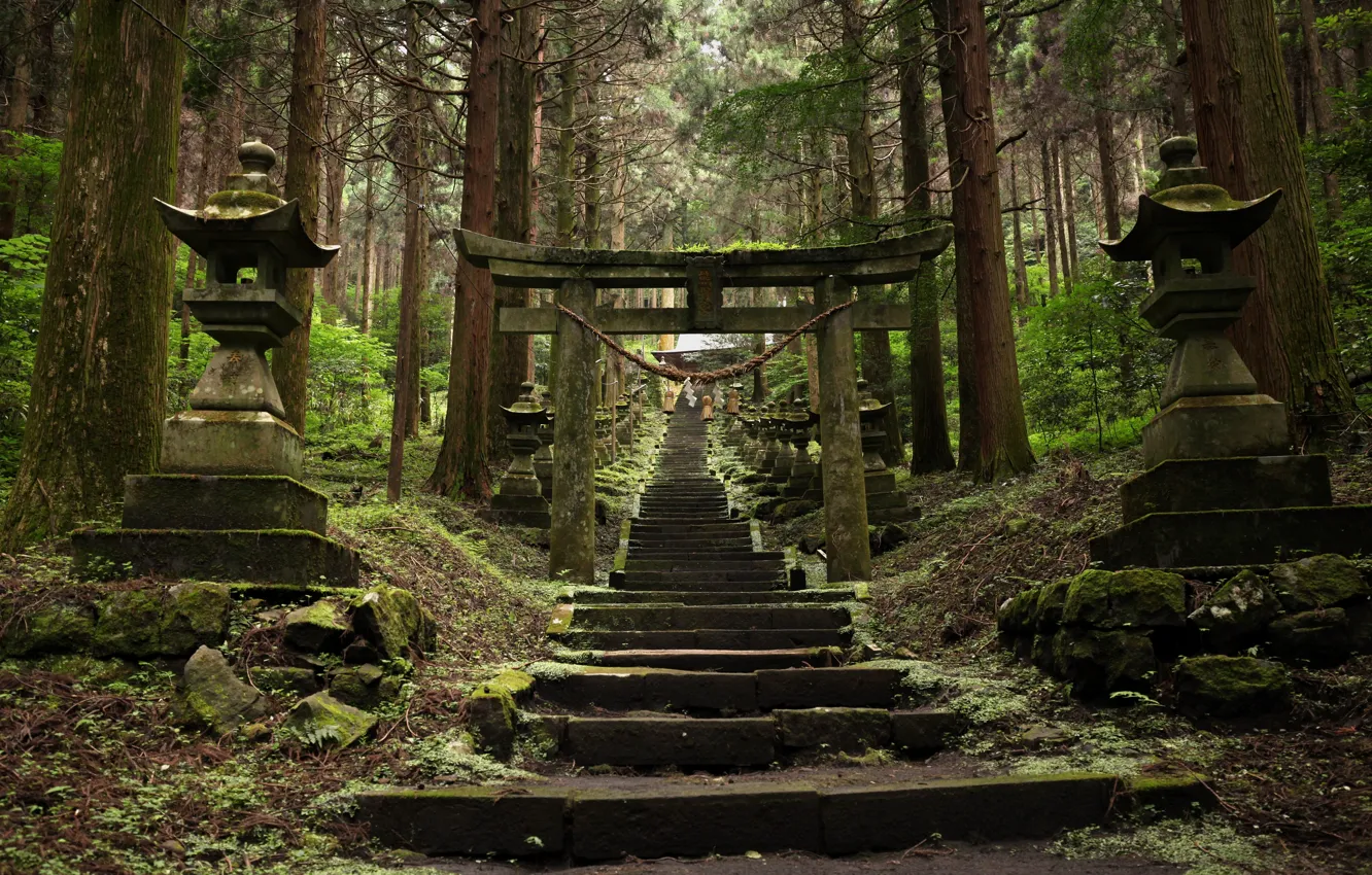 Photo wallpaper ladder, temple, torii, by roll sausage