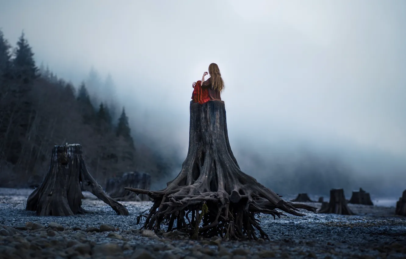 Photo wallpaper forest, fog, loneliness, Girl