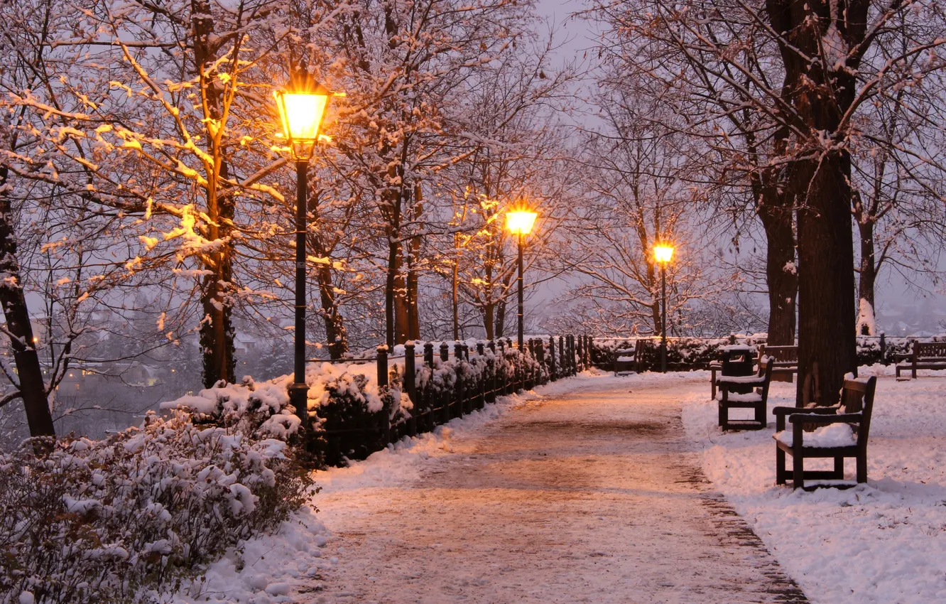 Photo wallpaper winter, road, the sky, snow, trees, bench, Park, lights