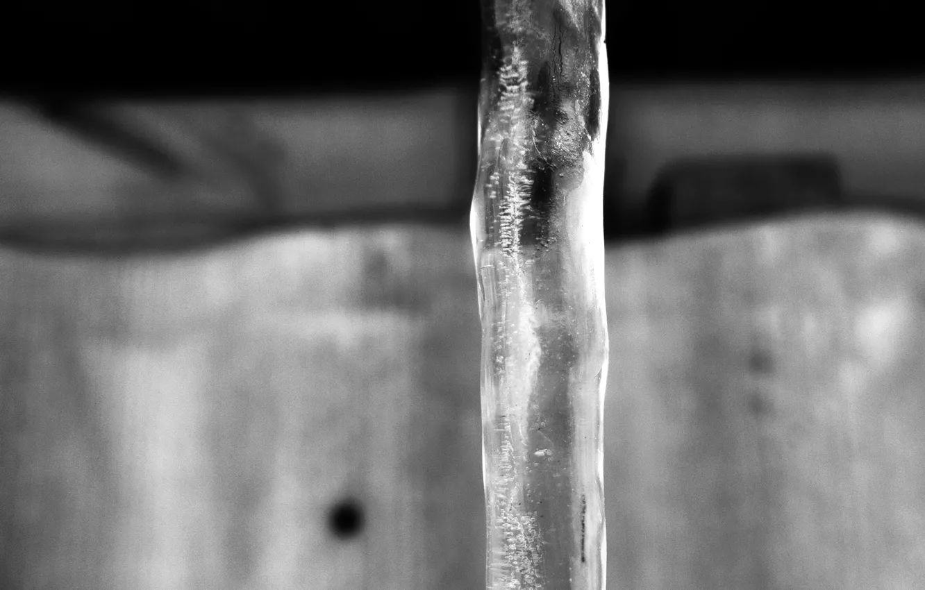 Photo wallpaper ice, winter, close-up, mood, icicles, black and white, blurred background