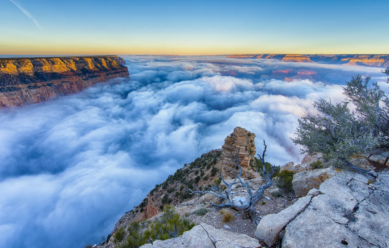 Photo wallpaper fog, sunrise, morning, AZ, The Grand Canyon
