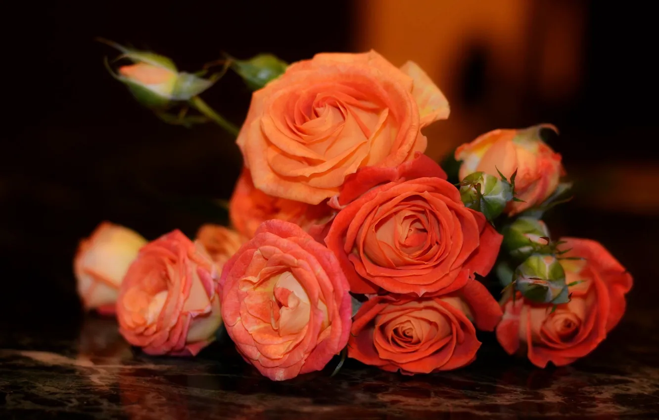 Photo wallpaper roses, Bouquet, orange, buds