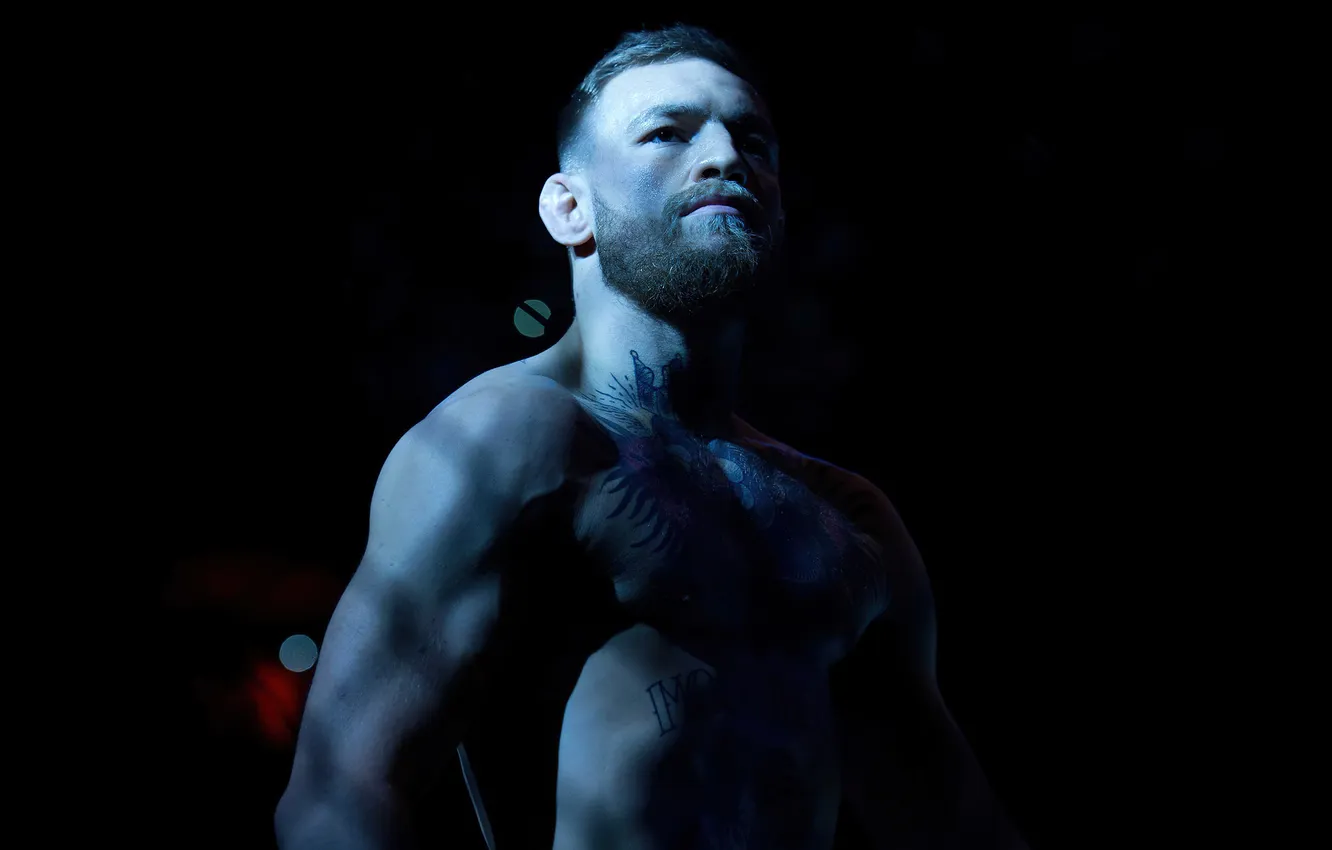 Photo wallpaper fighter, Ultimate, muscles, Championship, fighting, sports, ufc, tattoos