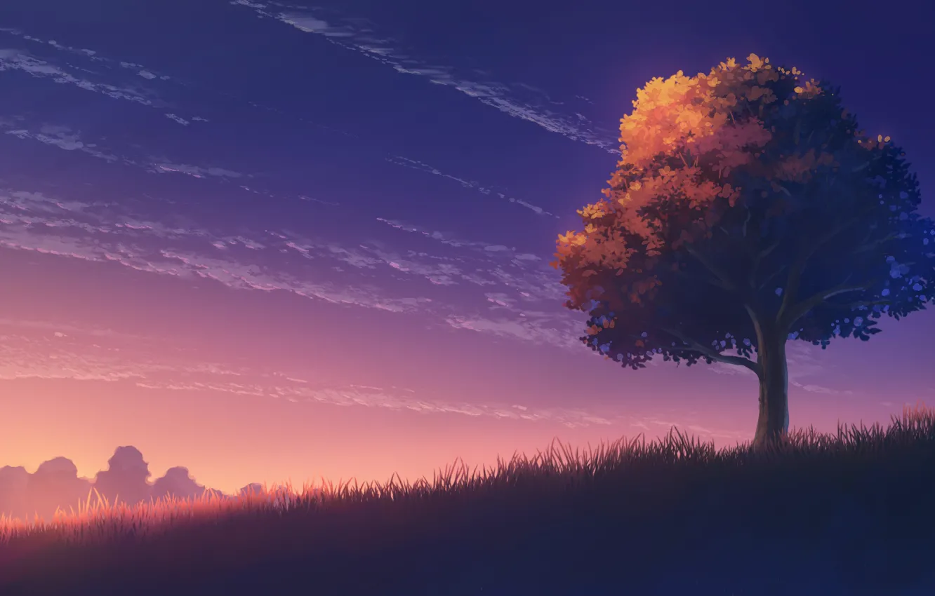 Photo wallpaper autumn, the sky, trees, sunset