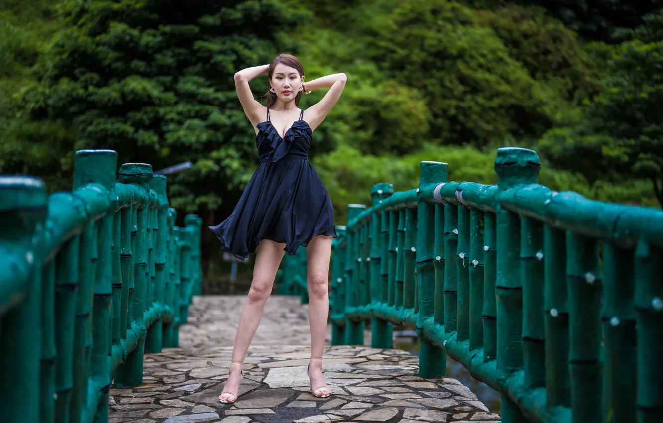 Photo wallpaper trees, bridge, the fence, neckline, Asian, black dress, cleavage, trees