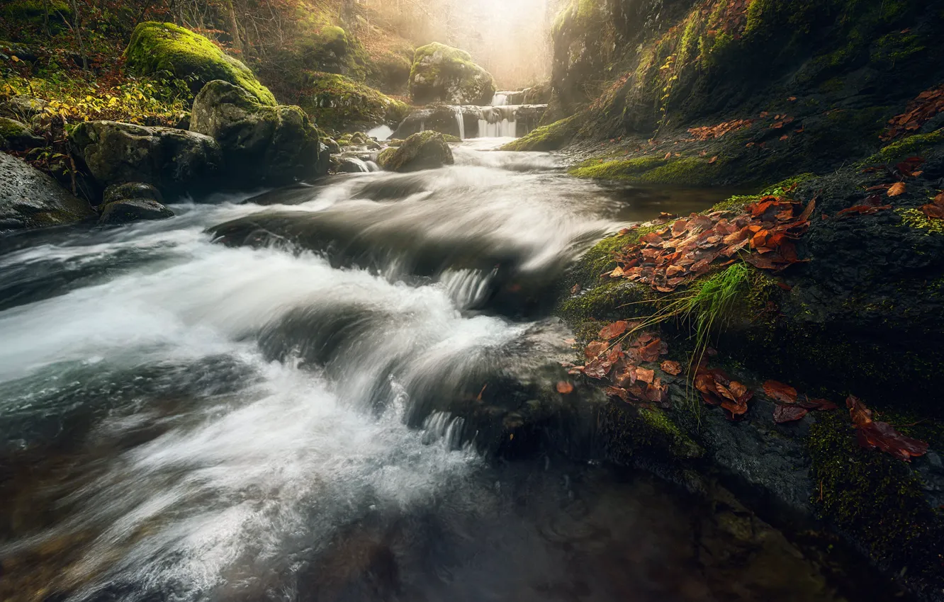 Photo wallpaper ptoc, autumn leaves, stones, waterfall
