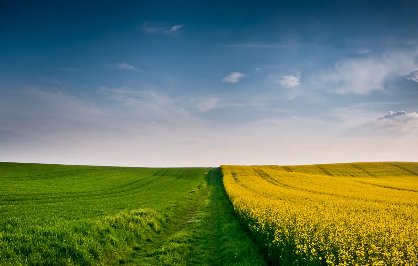 Photo wallpaper wheat, field, autumn, the sky, grass, clouds, yellow, green