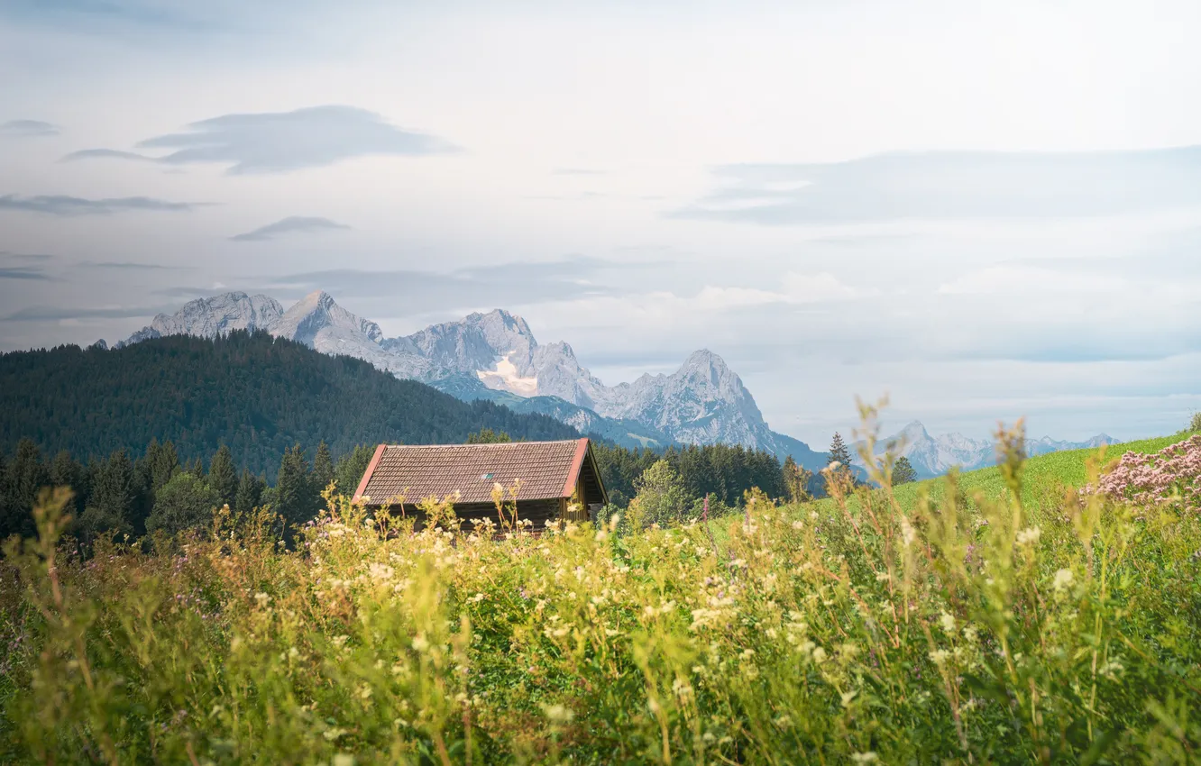 Photo wallpaper field, mountains, house