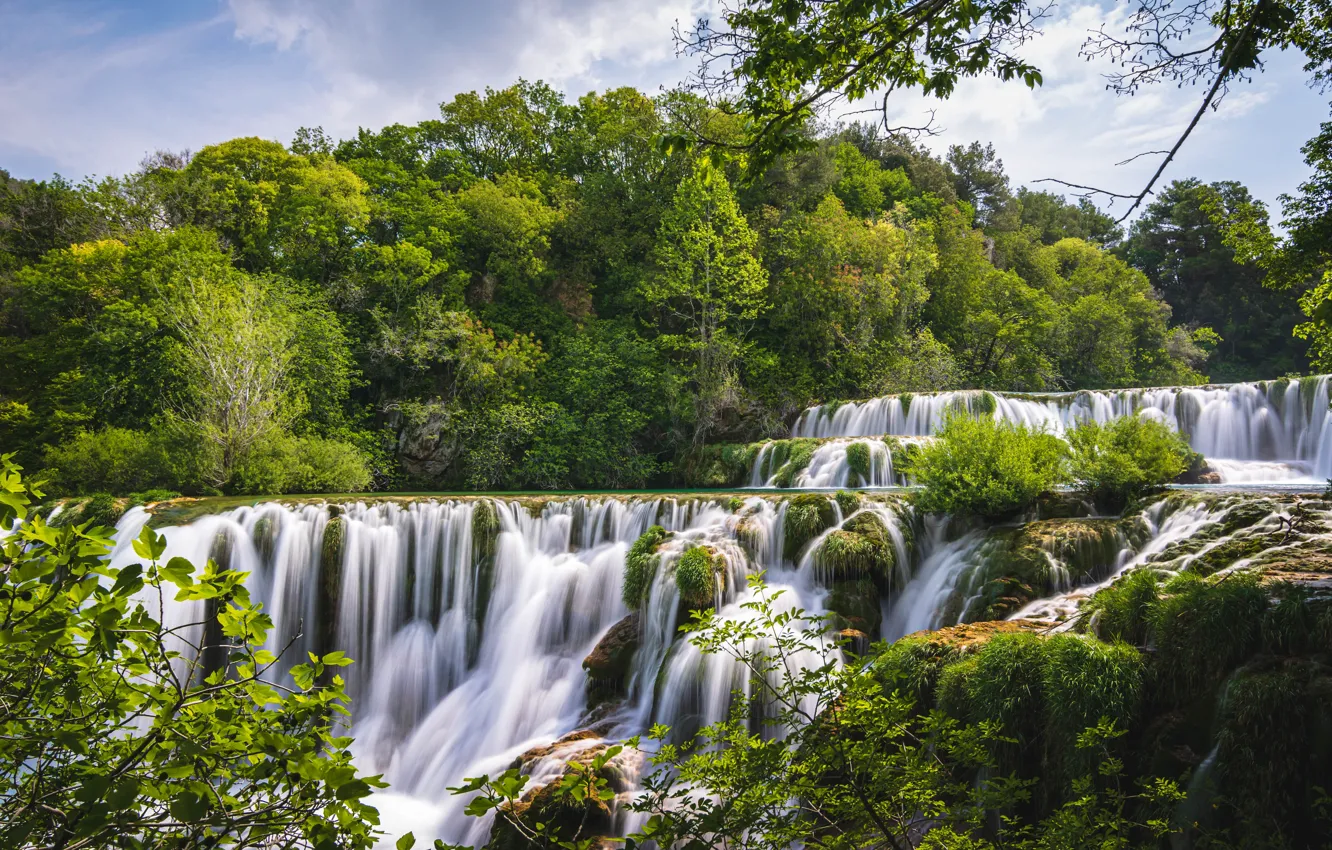 Photo wallpaper forest, summer, trees, waterfall, cascade, Croatia, Croatia, Krka National Park