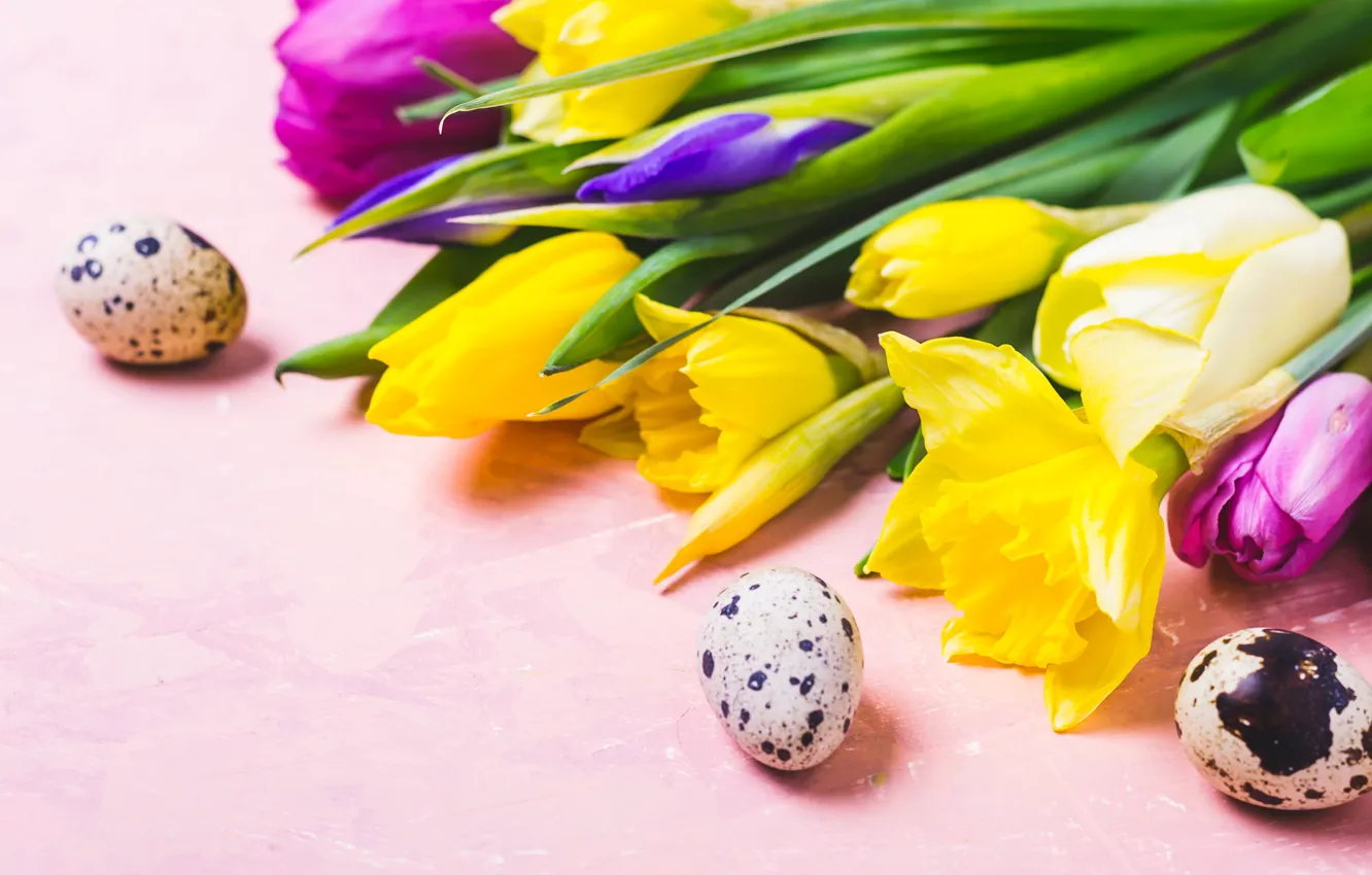 Photo wallpaper flowers, eggs, colorful, Easter, tulips, happy, flowers, tulips