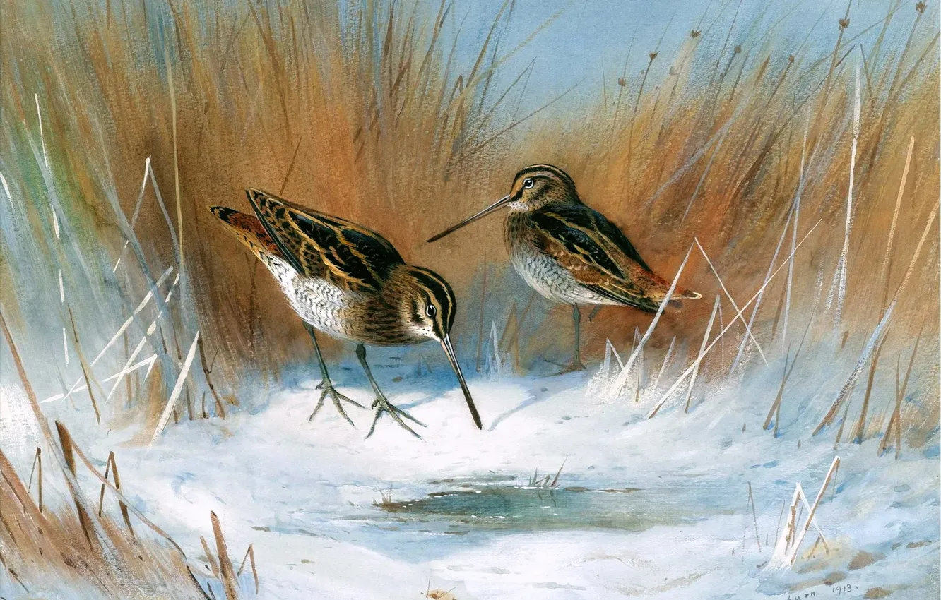 Photo wallpaper Winter, Grass, Snow, Birds, Picture, Two, Archibald Thorburn, Archibald Thorburn,
