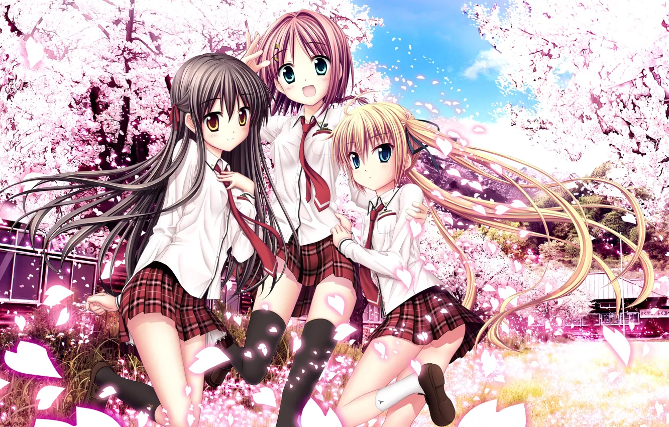 Photo wallpaper the sky, clouds, girls, home, anime, petals, Sakura, art