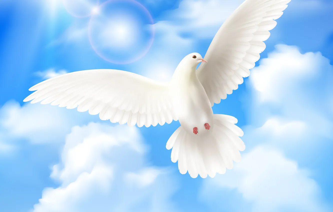 Photo wallpaper The sun, The sky, Clouds, Dove, White, Bird, Flight, Wings