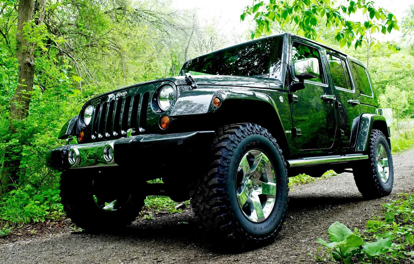 Photo wallpaper road, forest, Jeep, car, Wrangler, Jeep, trees., high