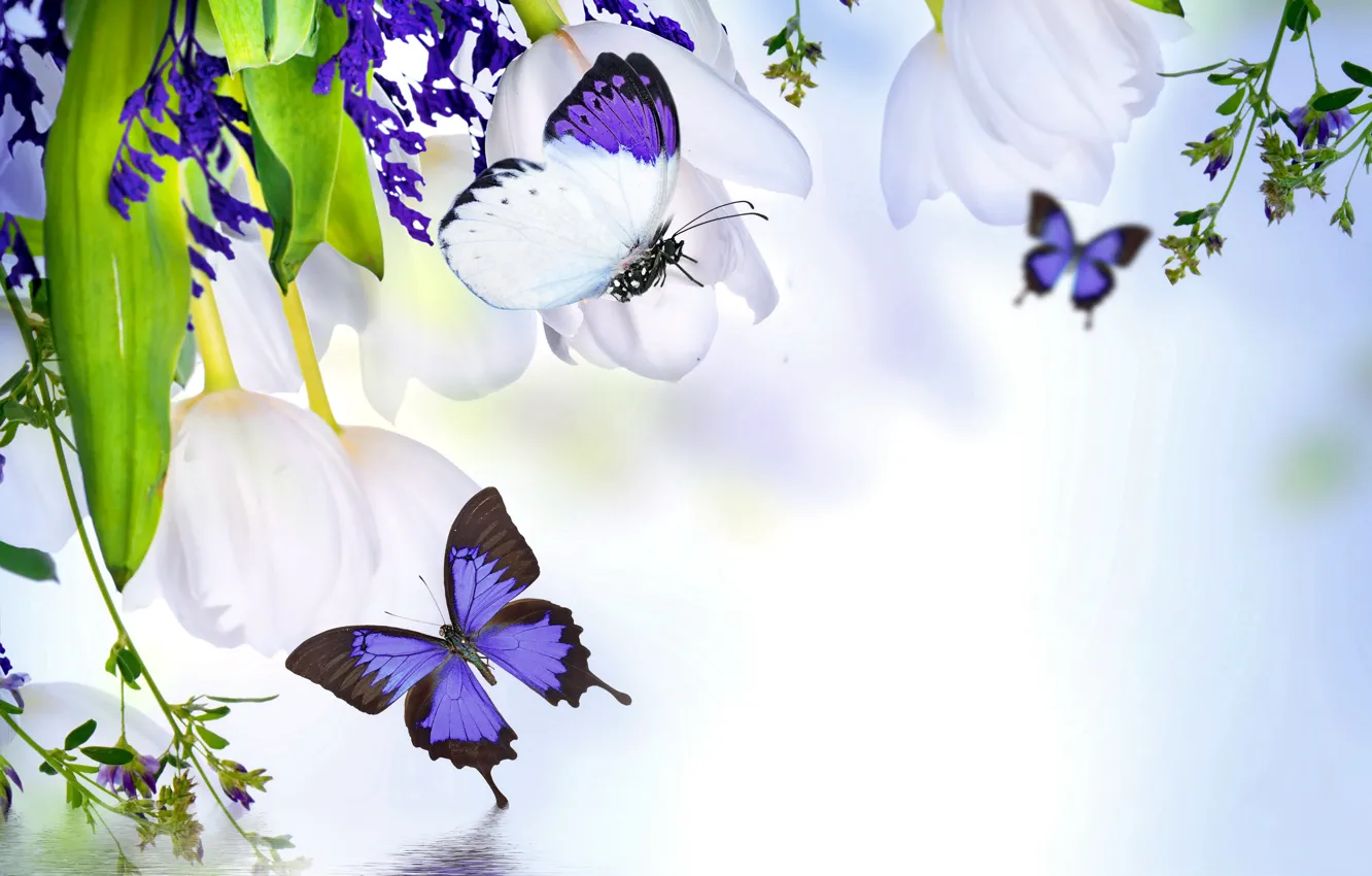 Photo wallpaper water, flowers, collage, butterfly, plant