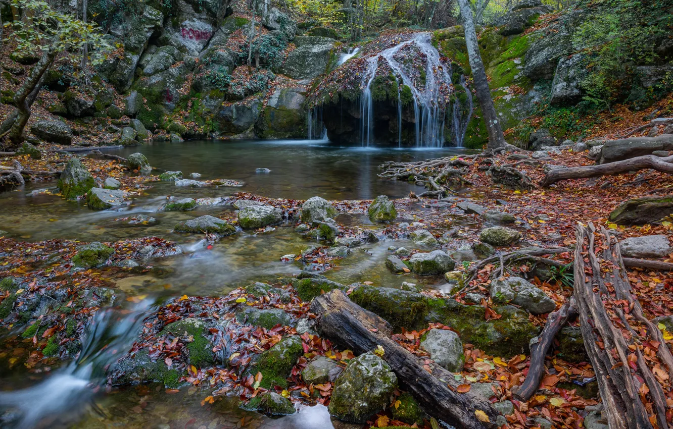 Photo wallpaper autumn, leaves, roots, river, stones, waterfall, Russia, Crimea
