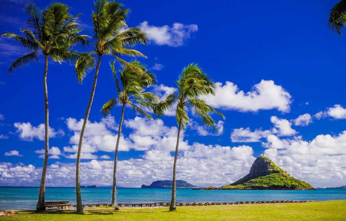 Photo wallpaper sea, the sky, the sun, clouds, tropics, palm trees, rocks, lawn