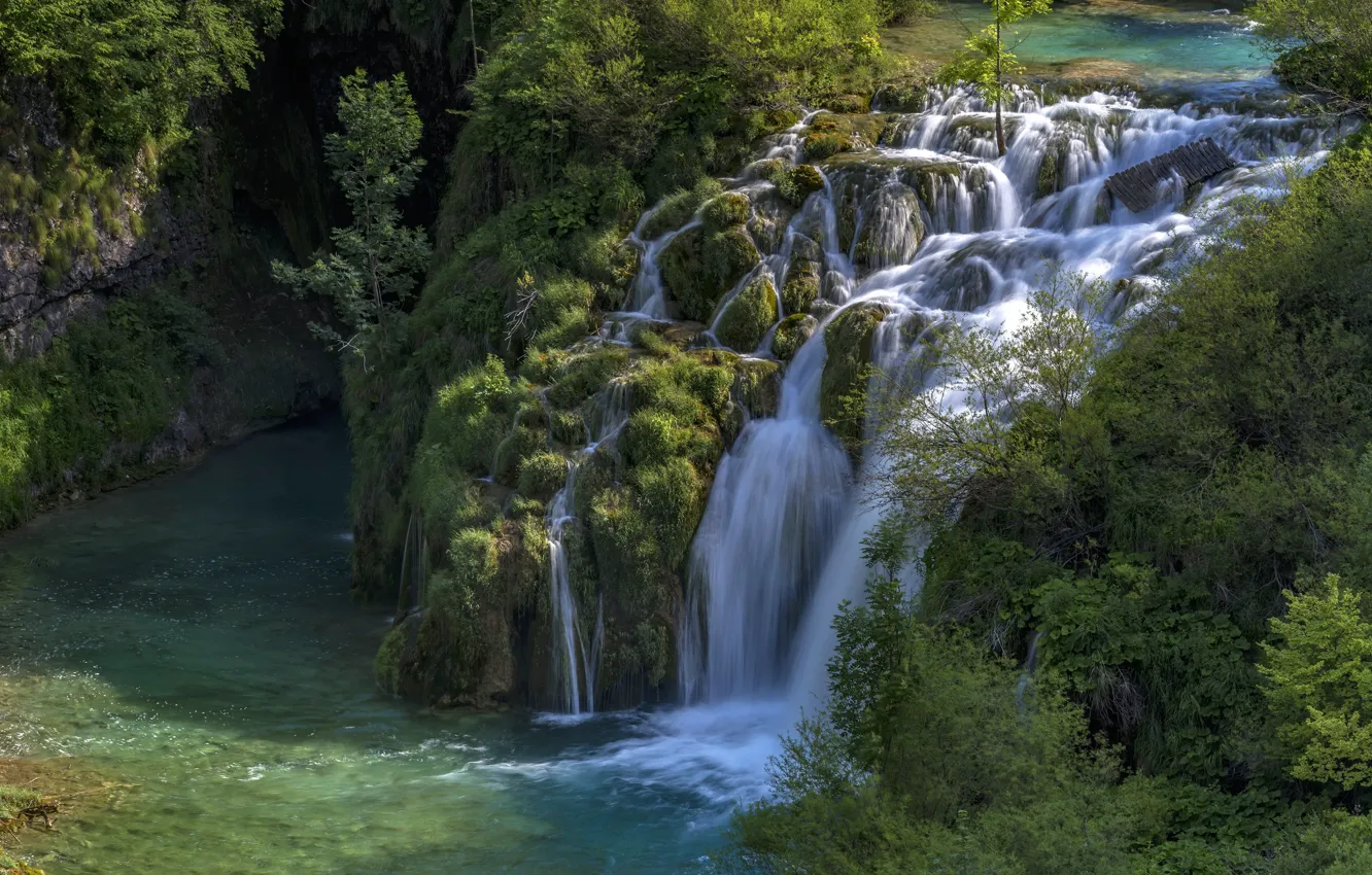 Photo wallpaper greens, forest, summer, light, trees, rocks, waterfall, stream