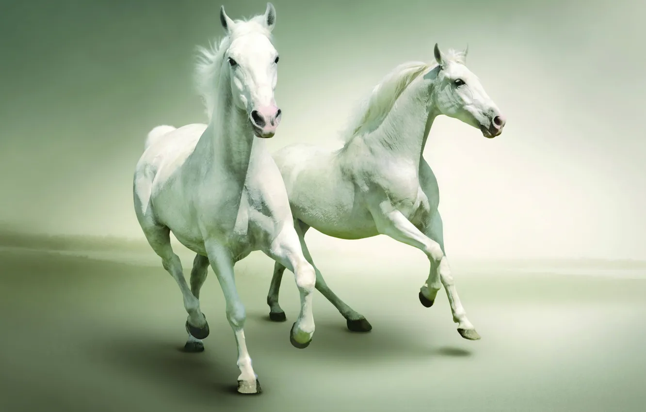 Photo wallpaper ultapanorama, pastel colors, white horses