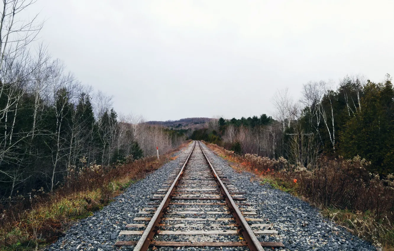 Photo wallpaper nature, perspective, railroad