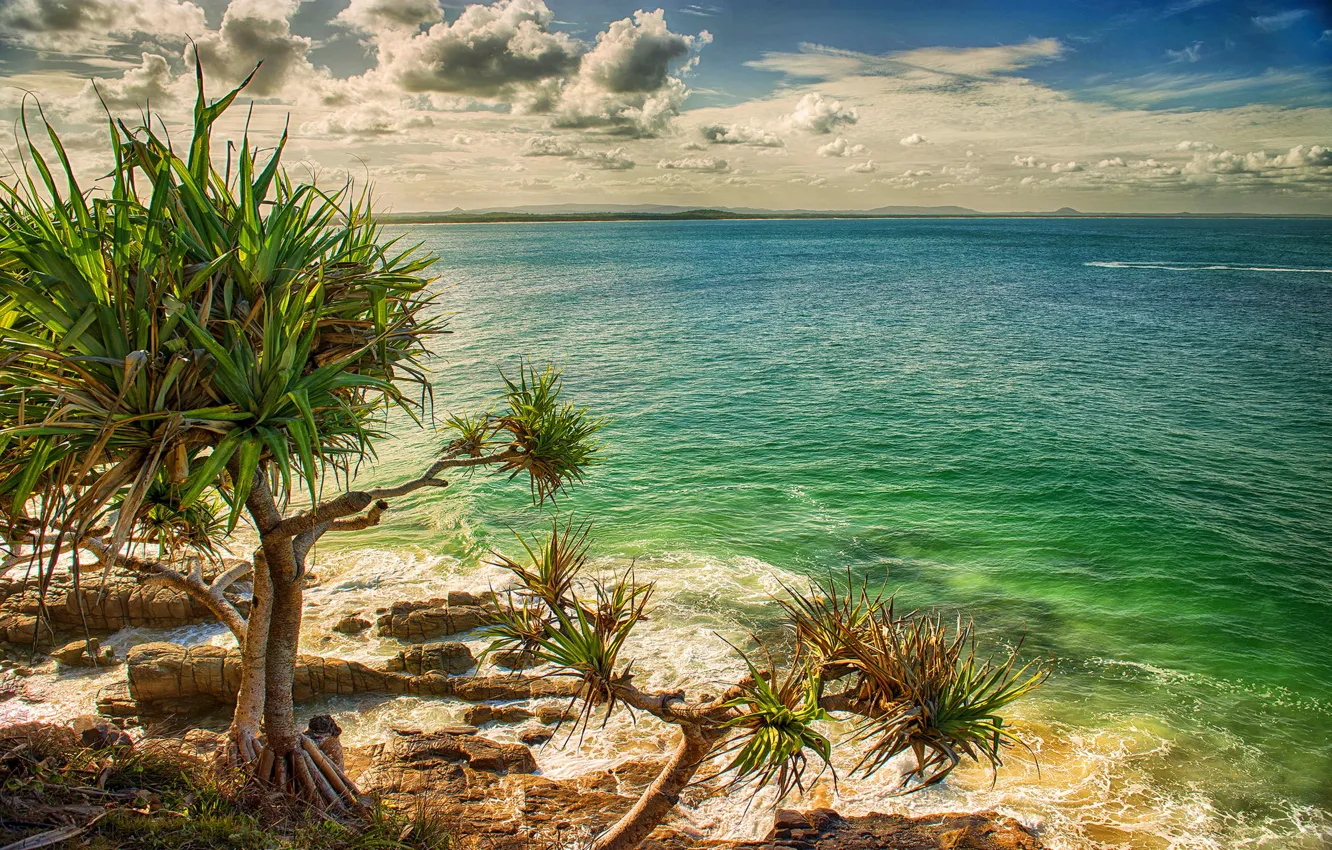 Photo wallpaper summer, sky, ocean, clouds, rocks, tree, turquoise, Australian coast