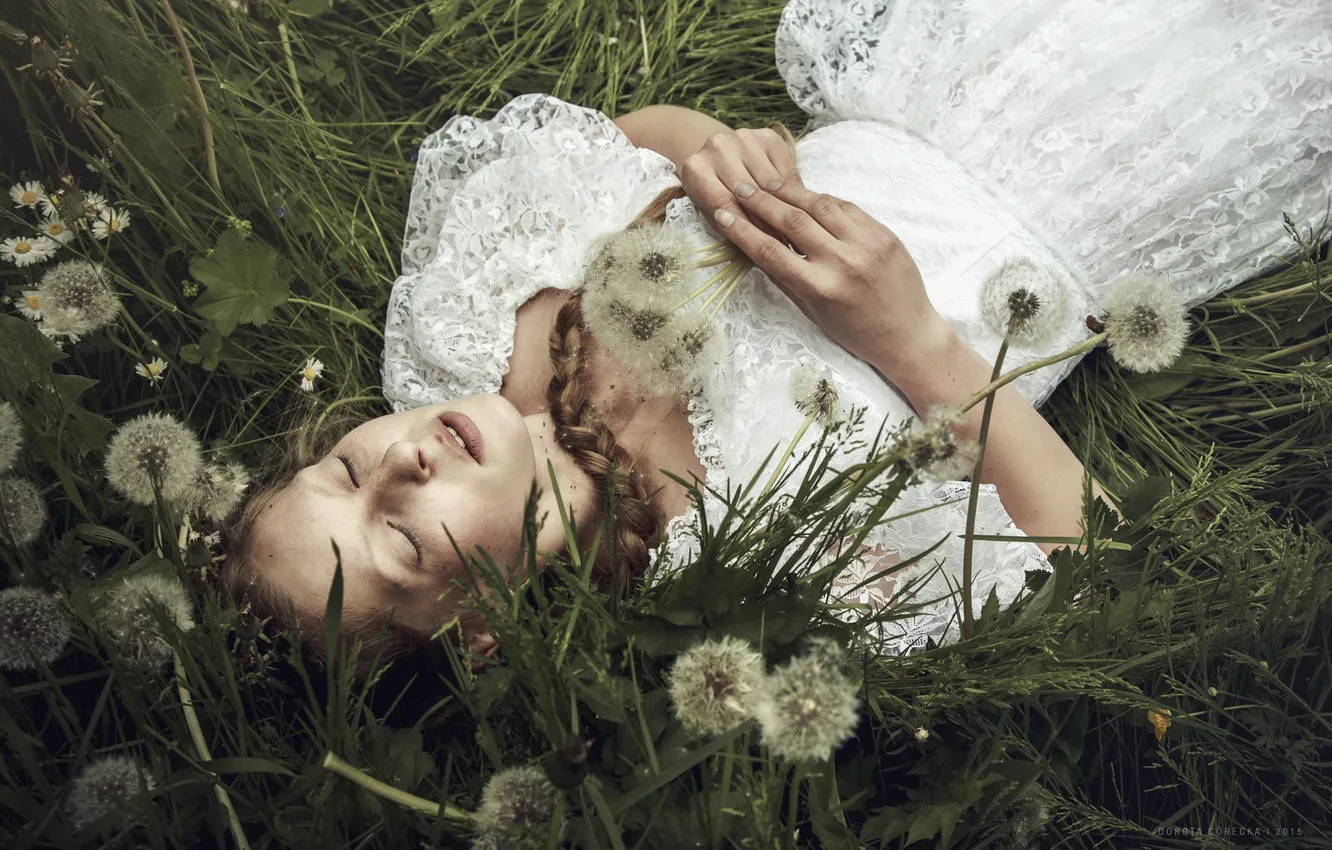 Photo wallpaper girl, background, dandelion