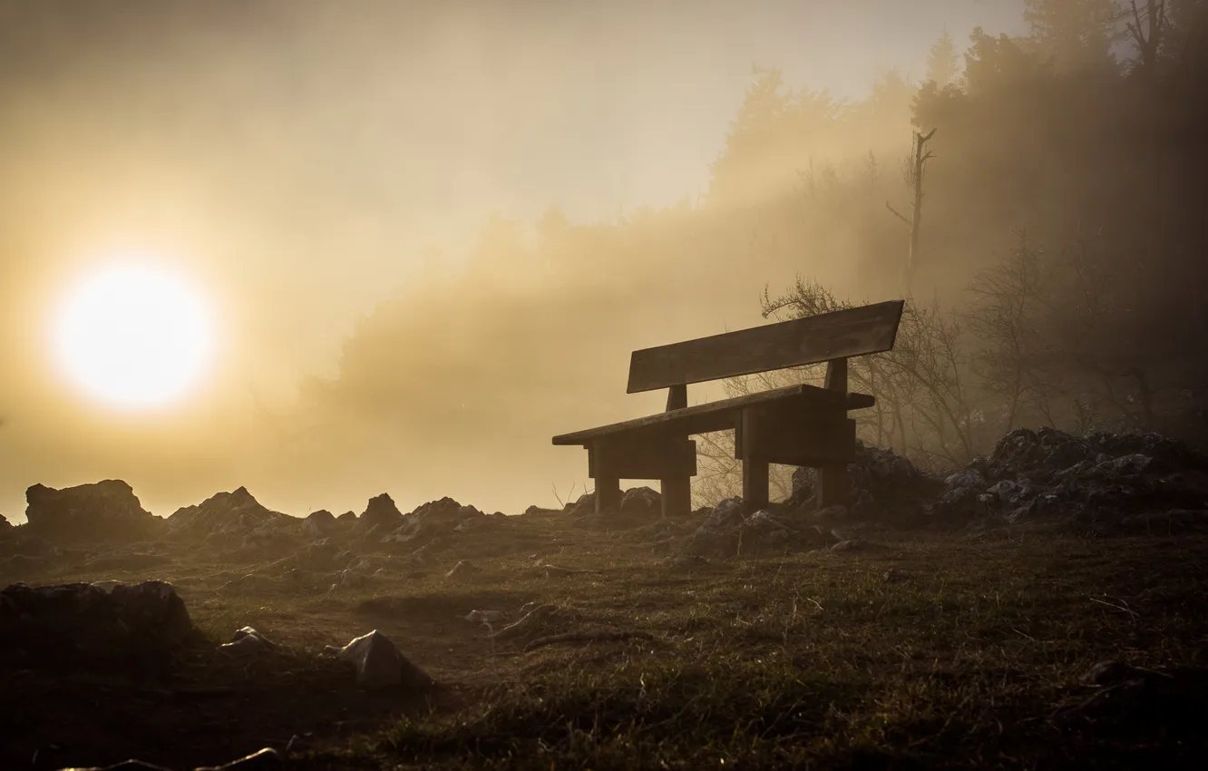 Photo wallpaper night, fog, bench