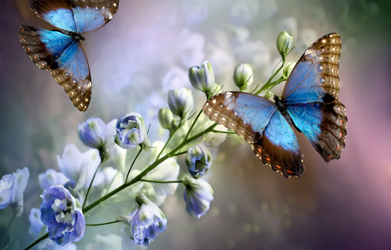 Photo wallpaper flowers, bunch of flowers, blooming