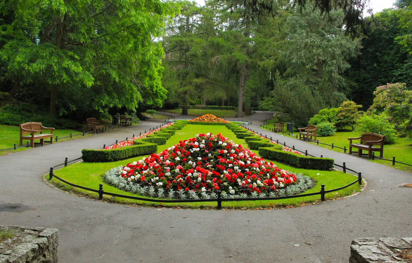 Photo wallpaper flower, trees, park