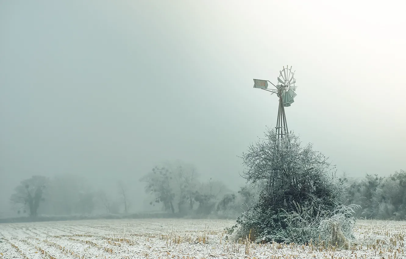 Photo wallpaper field, fog, windmills