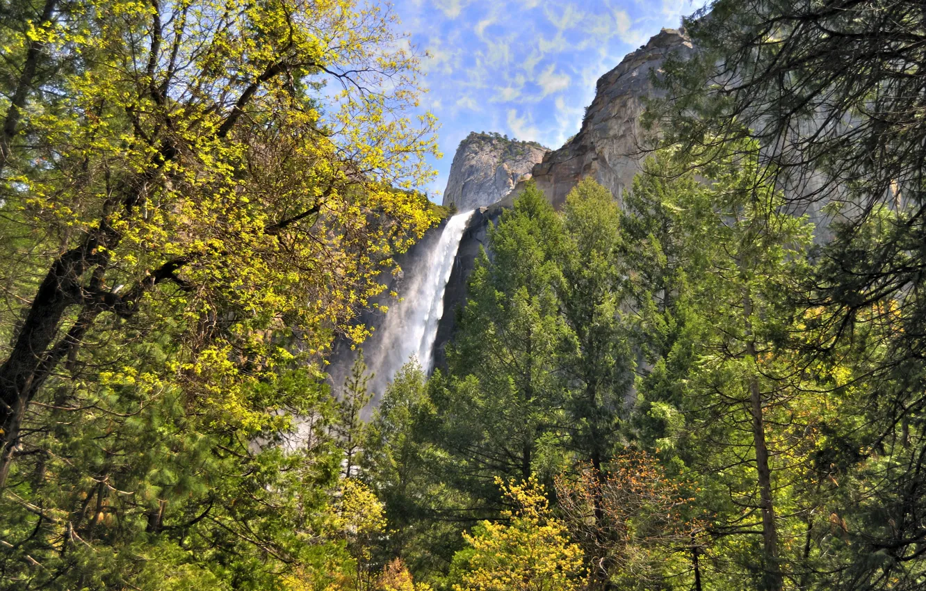 Photo wallpaper trees, mountains, rocks, waterfall, CA, USA, Yosemite national Park, Yosemite National Park