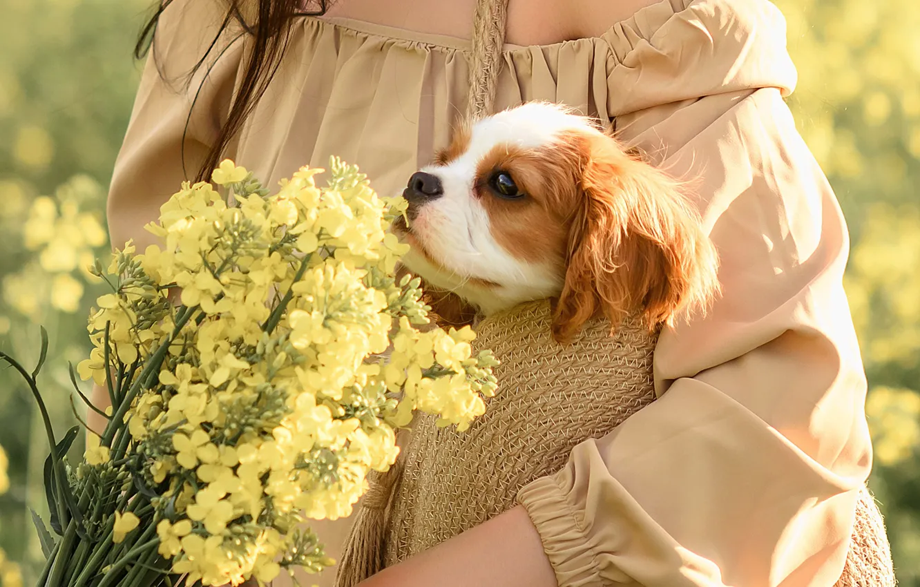 Photo wallpaper girl, flowers, dog, Victoria Dubrovskaya