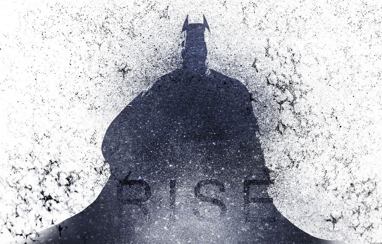 Photo wallpaper hero, Batman, art, The Dark Knight Rises, Dark Knight