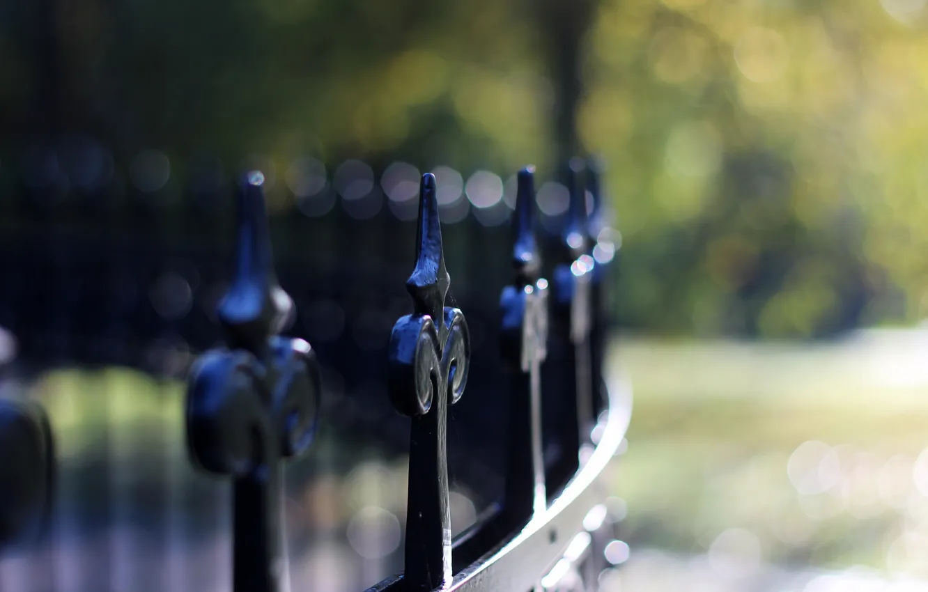 Photo wallpaper macro, background, the fence