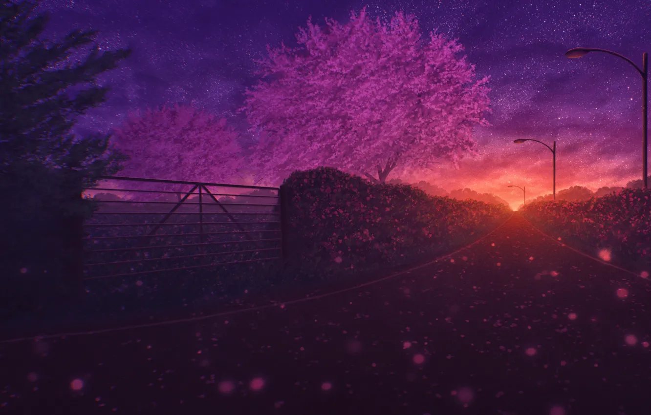 Photo wallpaper road, trees, sunset, nature, spring