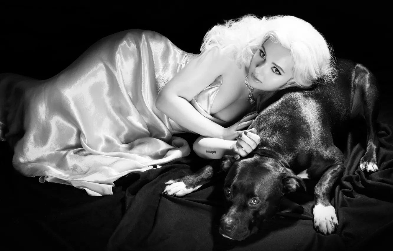 Photo wallpaper photo, dog, dress, actress, hairstyle, blonde, black and white, journal