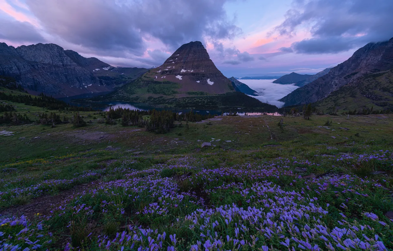 Photo wallpaper clouds, flowers, mountains, meadow