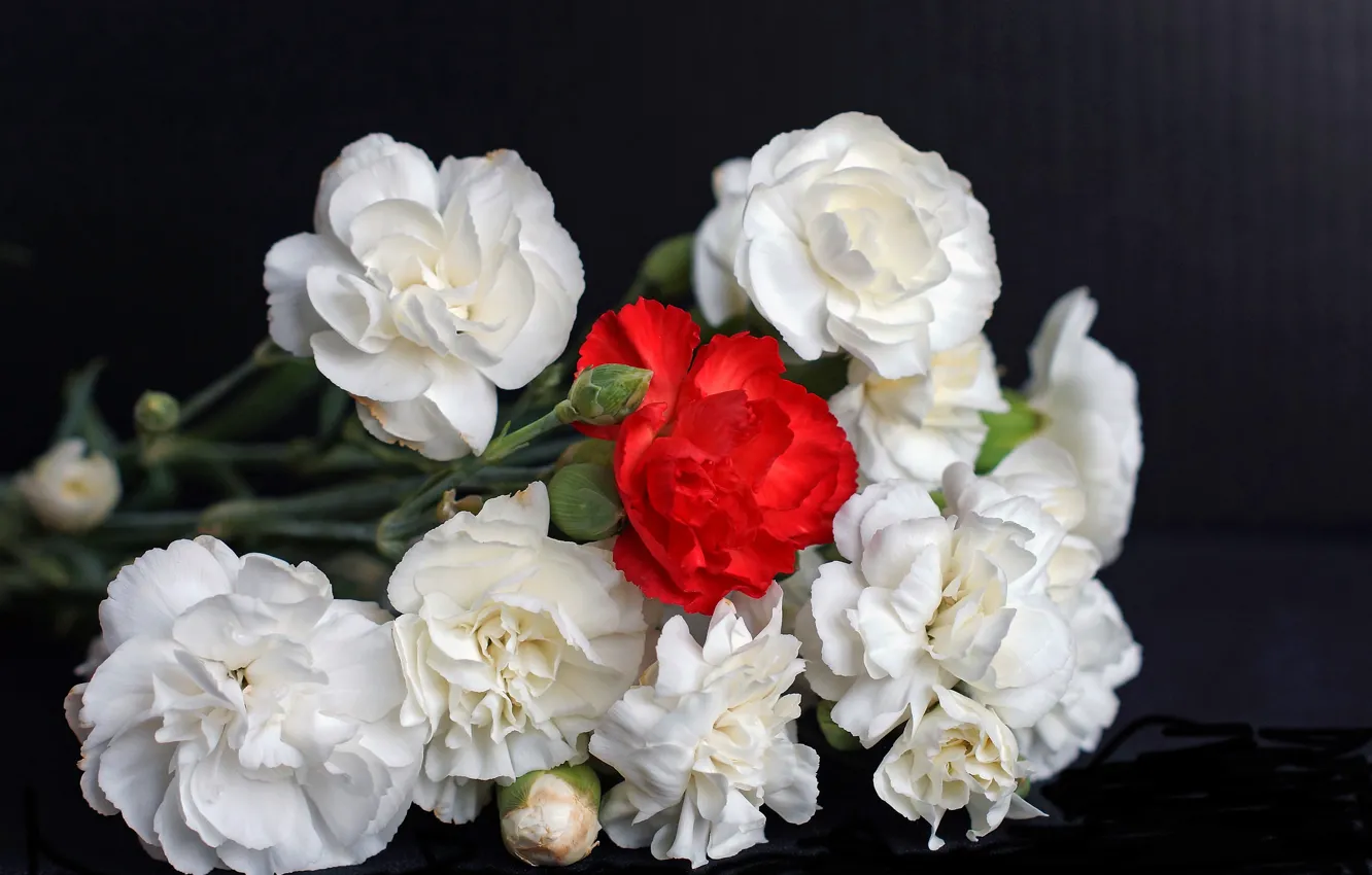 Photo wallpaper background, bouquet, clove