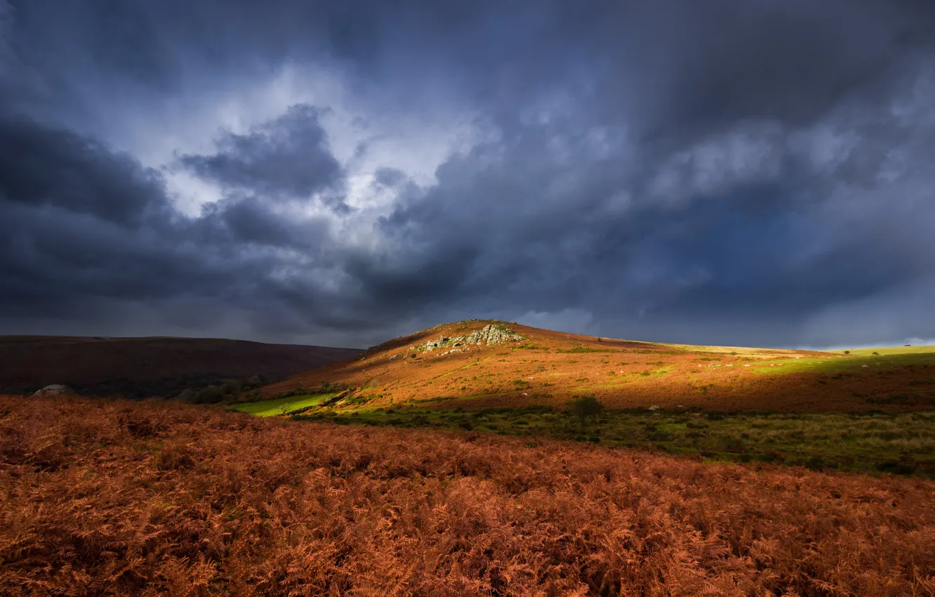 Photo wallpaper field, autumn, the sky, clouds, thickets, hills, dal, lighting