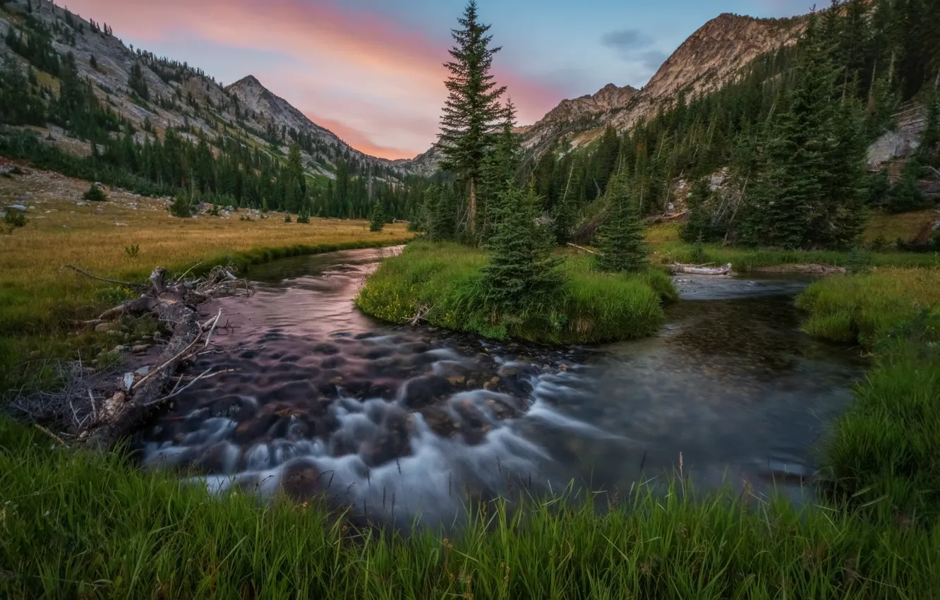 Photo wallpaper forest, mountains, nature, river, stream