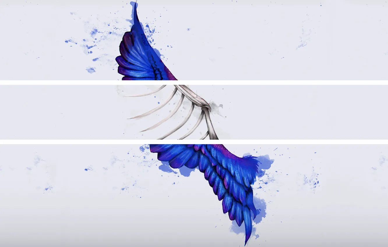 Photo wallpaper X-Ray, Music, Cover, Monstercat, Rezonate, Jhyve