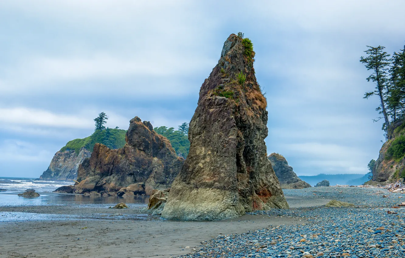 Photo wallpaper sand, sea, trees, stones, rocks, coast, Washington, USA