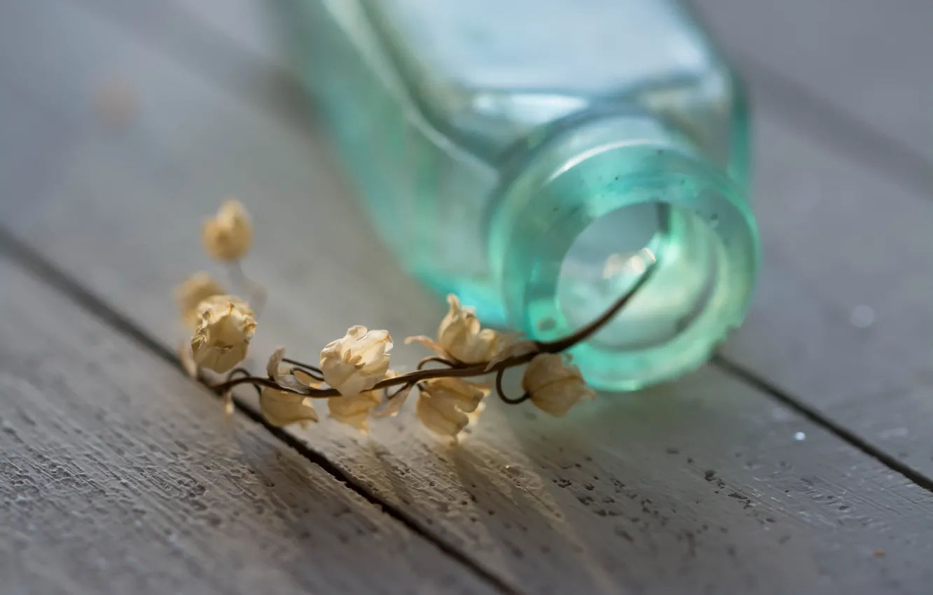 Photo wallpaper flowers, background, Bank