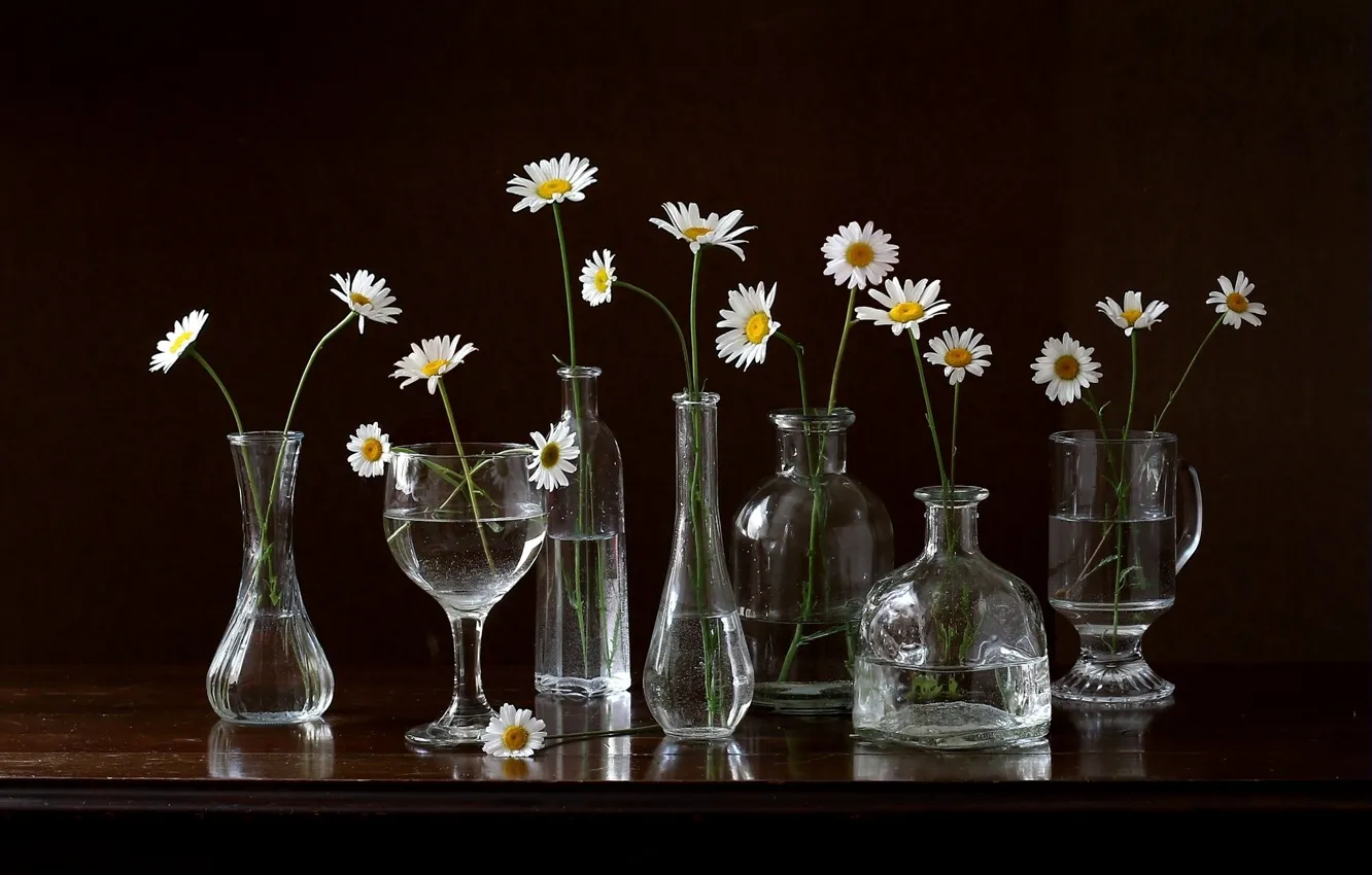 Photo wallpaper flowers, chamomile, dishes