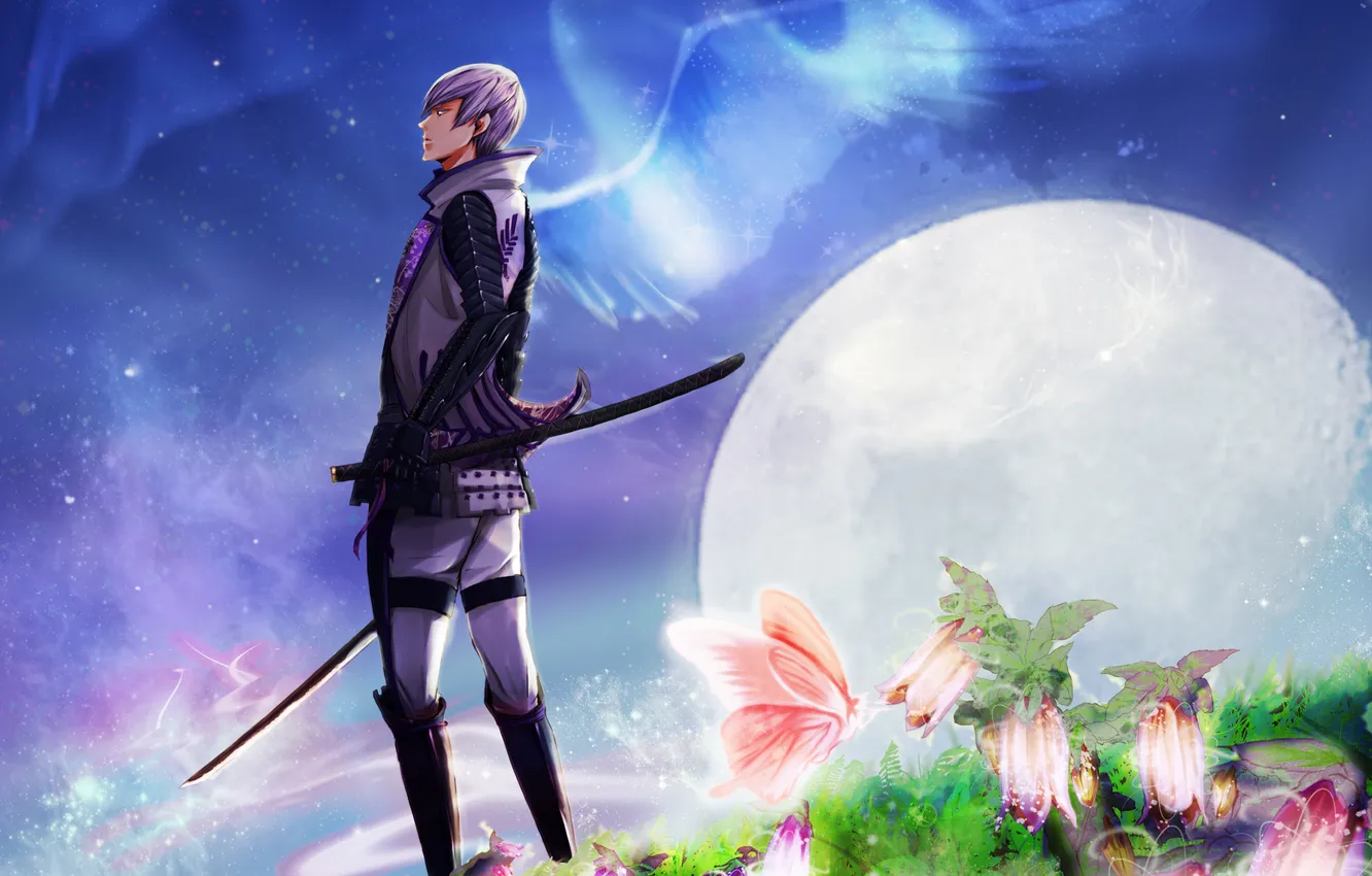 Photo wallpaper stars, flowers, weapons, the moon, butterfly, wings, katana, Northern lights