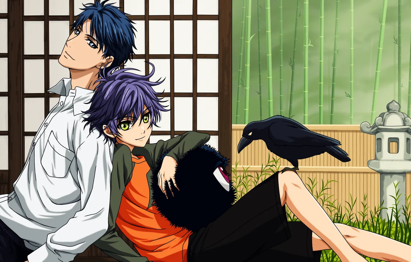 Photo wallpaper eyes, boy, guy, Raven, Murasame, Inuzuka Shino, Inukawa Sousuke, Hakkenden