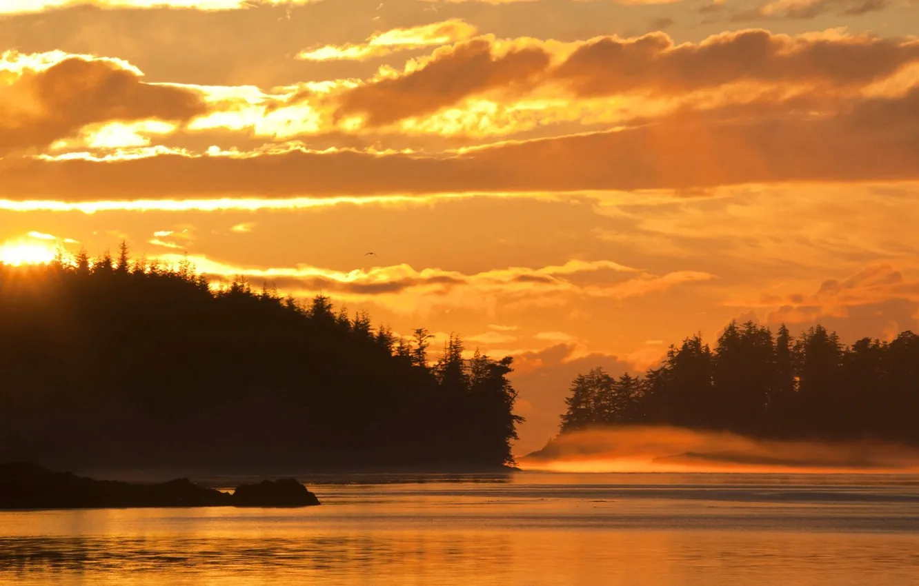 Photo wallpaper forest, the sky, the sun, clouds, sunset, fog, river, the evening