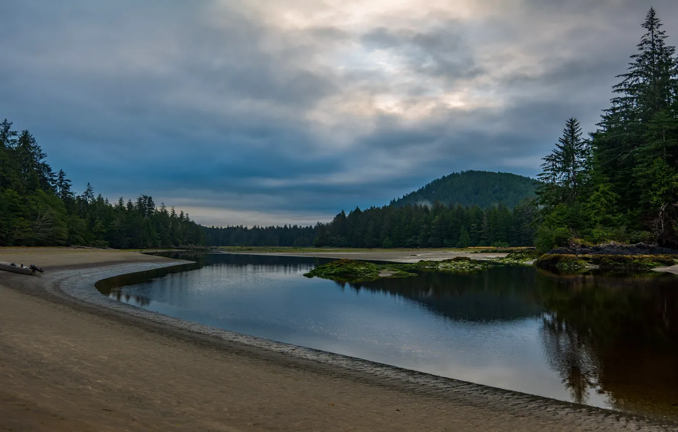 Photo wallpaper sand, forest, beach, the sky, clouds, trees, mountains, clouds