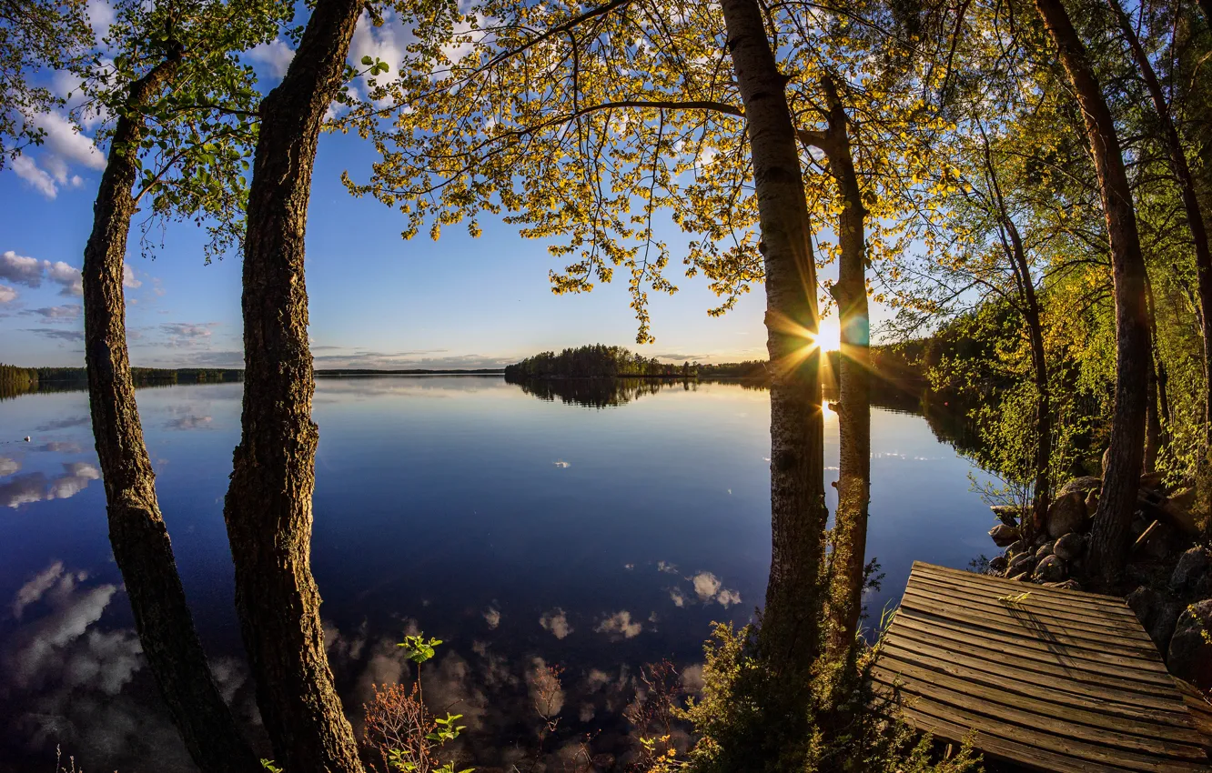 Photo wallpaper trees, lake, sunrise, dawn
